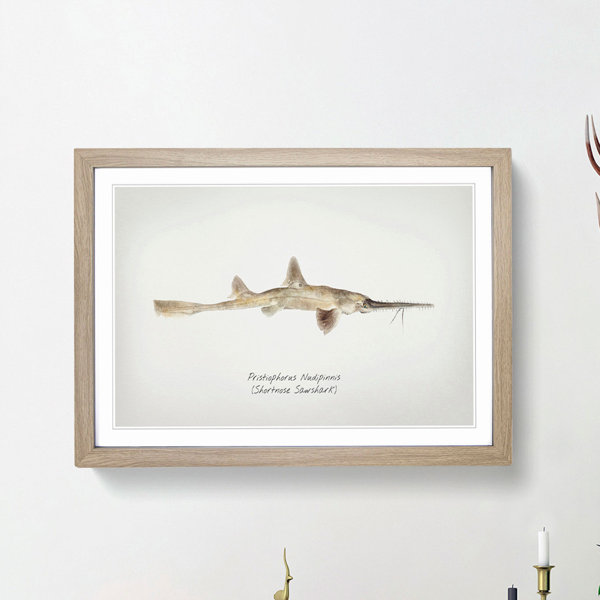 East Urban Home Illustration of a Shortnose Sawshark by F.E. Clarke